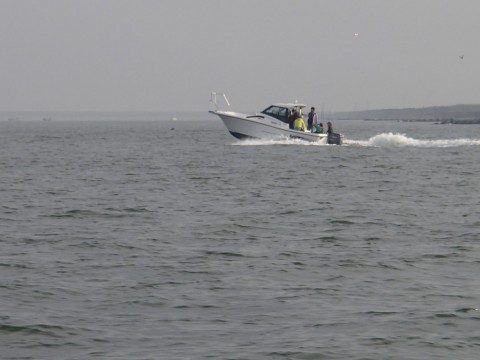 ovr8oo2ew4b78vgo9ik5_480_480-35cee266.jpg