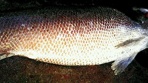 owazugwrxbnvc74t5k5d_920_518-77b11f35.jpg