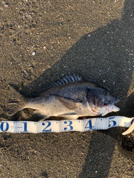owdgx5zctsibtub5kb72_361_480-6129c423.jpg