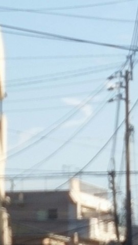 owdyyeg4yaxtctmrar4s_518_920-6098740b.jpg