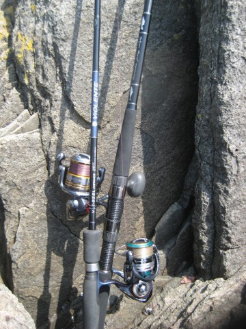 owkj2rjpncyjhvbyadbe_690_920-68415728.jpg