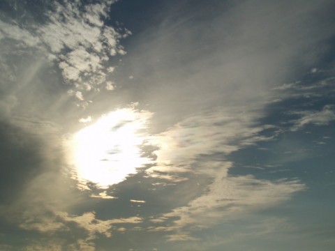 owobi7nhae3afjr8jrdw_480_480-a75bae47.jpg