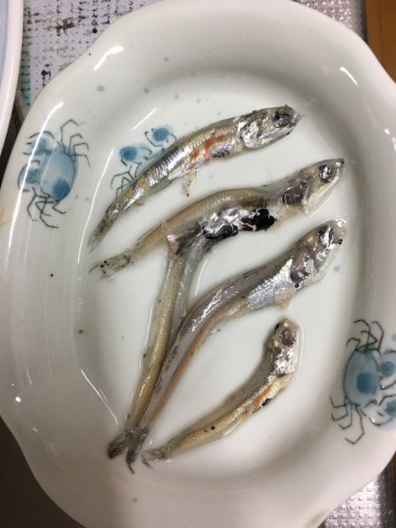 owrm29cmozrix7yokgi7_690_920-7f10c833.jpg