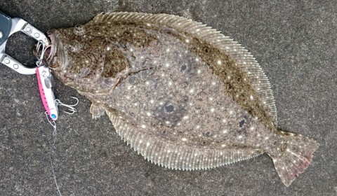 owuucz96rphngwpo3n25_920_537-99759ea4.jpg