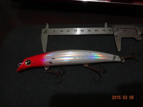 owztb87nivsjo87ndbic_480_480-4eb0202d.jpg
