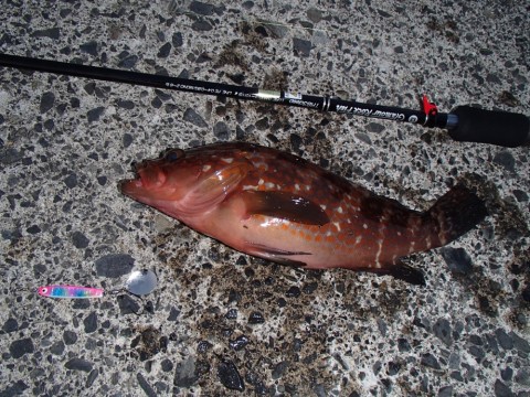 oxfuemxdjtsise9oumts_920_690-5c543420.jpg