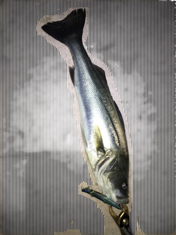oxh9rmzwdxv59wkiyemi_690_920-a4044587.jpg