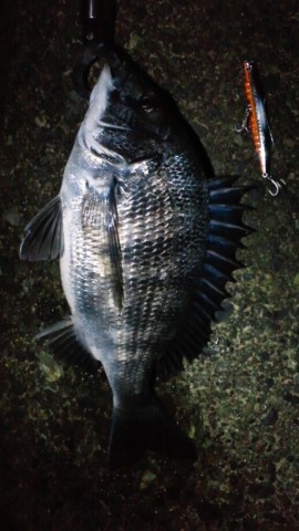 oxjpvn56xfxcxgzv9xiy_518_920-1c1fd8f8.jpg
