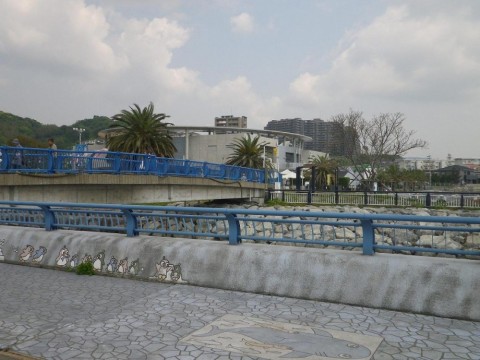 oxpf5fm9f447udztdxj5_480_480-740b6523.jpg