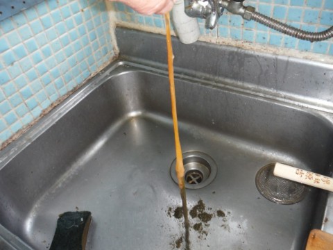 oxs2uzc83chrchus7rof_480_480-f00928e1.jpg