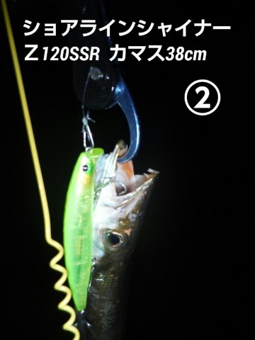 oxzx2u2y48cmscnpxv5k_690_920-aefa6903.jpg