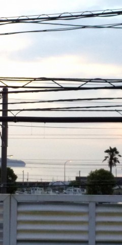 oy3screkg5k8t5escao2_480_480-18a67dcd.jpg