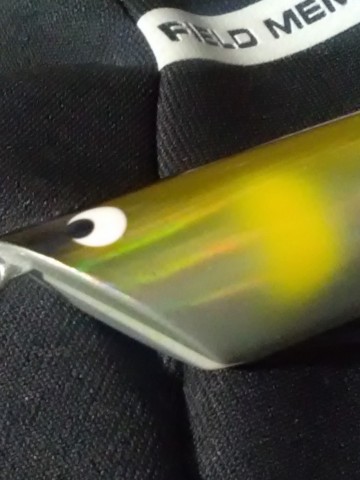 oyd2mfvdou5a9msfccun_480_480-b31edc74.jpg