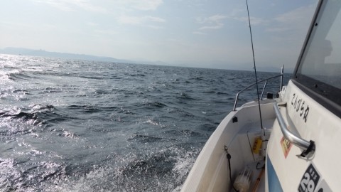oymc5xdskknvwieguw83_480_480-dd145aa6.jpg