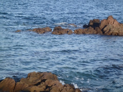 oypi92ajpwg7k5z9c4vr_920_690-2bc7032f.jpg