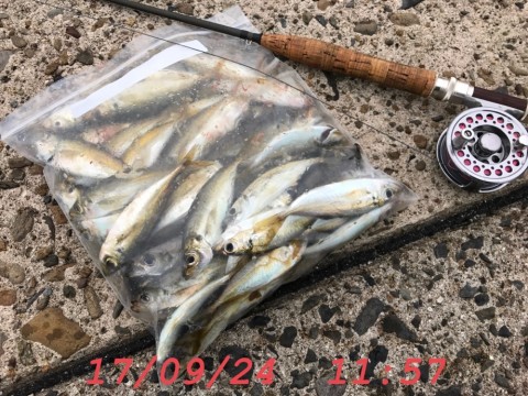oypmodrc2bkwygdenkbs_920_690-b0f110d3.jpg