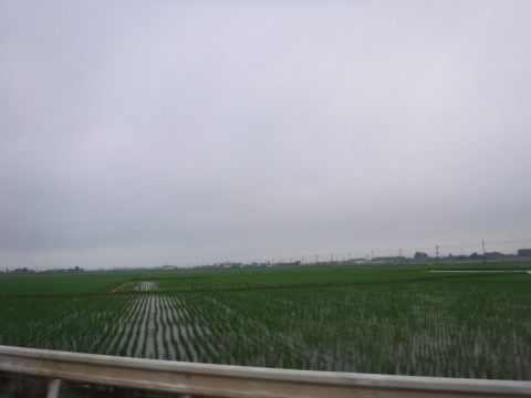 oz3vhdrkexc7269attb6_480_480-69843648.jpg