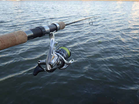oz8zox27gfbddogj54ph-dabd8a90.jpg