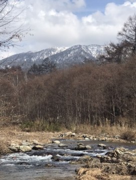 ozdzsoyx3we2hodaz2b7_361_480-05d2b48f.jpg