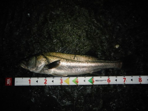 ozivakj59f4aym4mfgdn_920_690-01bf926a.jpg