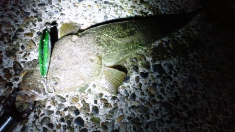 ozv8jciufcexbaokecsb_920_518-88bd24d1.jpg