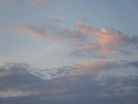 ozxzbr8sgjxnvunufxha_480_480-9a94a66d.jpg
