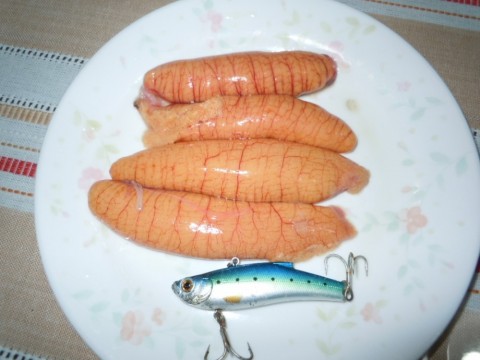 p2nyax64jyvunnpbhmb5_480_480-18f8bf0c.jpg