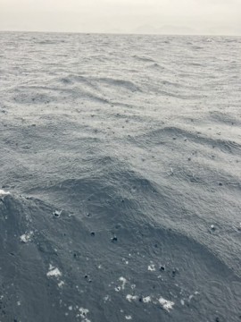 p2tsjxuodr9kujybwmib_360_480-27147d0c.jpg