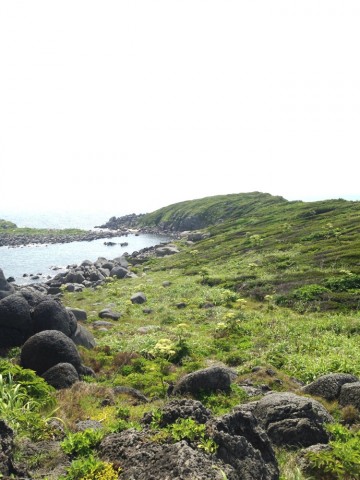 p2u69f9xdv3dv5xzk3i6_690_920-5361c523.jpg