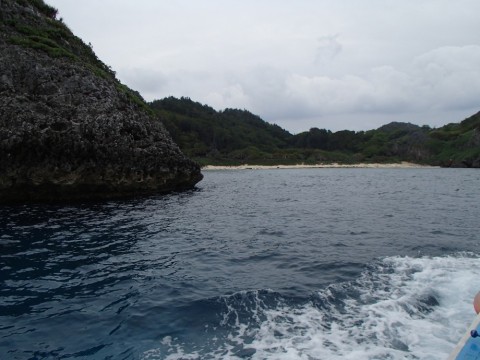 p36u75mvd9hmubdy3jse_480_480-126640a5.jpg