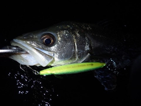 p37i3sjuvx5odent8dxa_920_690-badf6d8e.jpg