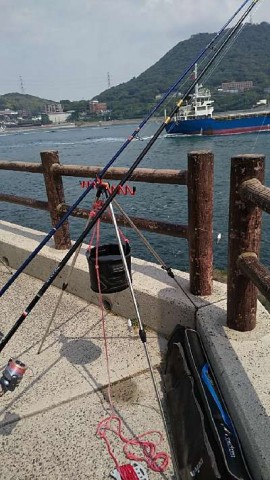 p37o8csr775xyzp43kiz_480_480-4205c4b5.jpg