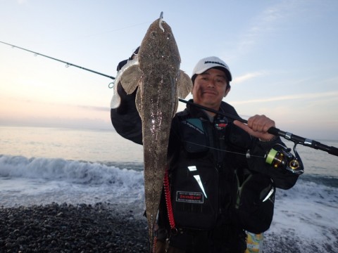p38iso2uh8jwznxa5avt_480_480-0fa46d9c.jpg