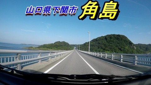 p5bt8ztb2rjmp9nchgz6_480_480-a19f80cd.jpg