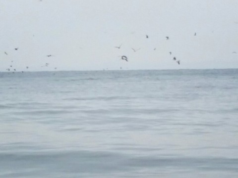 p5d3y24bjnmb6iwgigc9_920_690-ca063e05.jpg