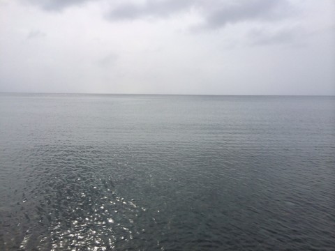 p5hbbnsejmxs5nybykcz_920_690-e50556c9.jpg