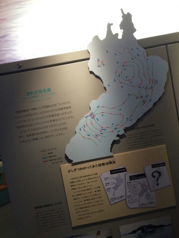 p5vta6hjirbrdpowc6wg_690_920-ecdbcc23.jpg