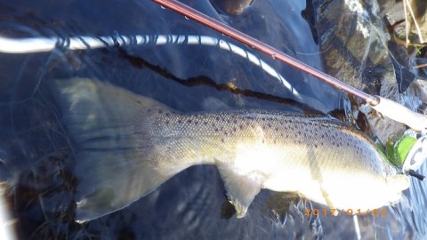 p5xsz4p7rp5mweyrsoiy_480_480-1128c381.jpg