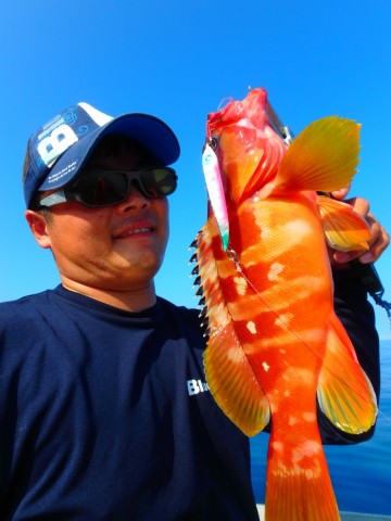 p67itkk3wikwta95oksw_480_480-c768cde4.jpg
