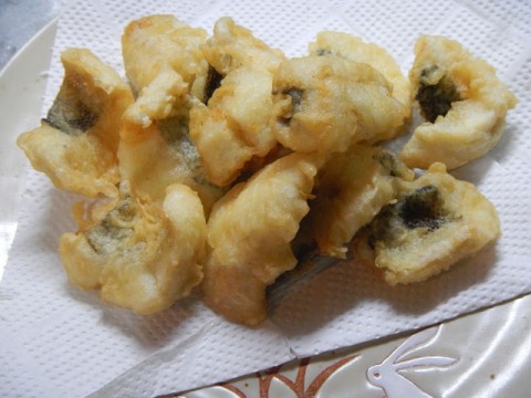 p68c72viy8gfeo9gyshu_480_480-d59e321c.jpg