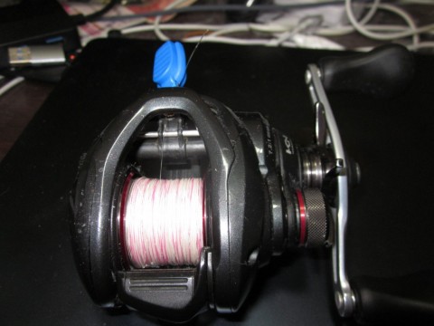 p6vxj8m7t67eoa7i2amp_480_480-df33ef48.jpg