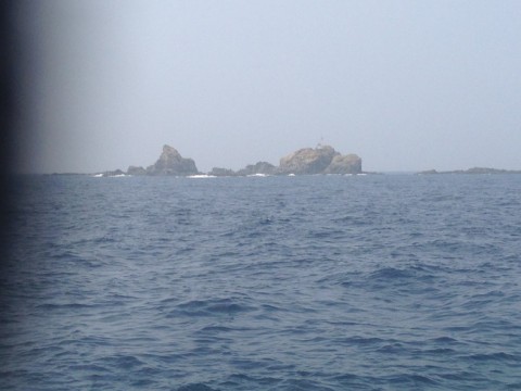 p6y85xu2onrvme4c3ber_480_480-425a9190.jpg