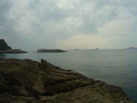 p6ypjyucj6nekyhodu89_480_480-ae5eadf3.jpg