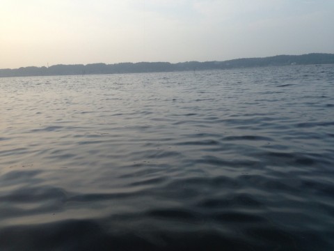 p6zfb3wjfphwpjhfx7b7_920_690-2b82ebcb.jpg