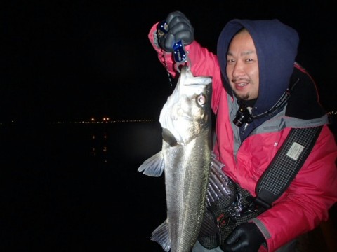 p7c59ynkm9pu8aeurc8f_640_480-5d601344.jpg