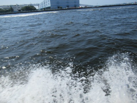 p7d5c9jejpg6vktnz8c7_480_480-5c574240.jpg