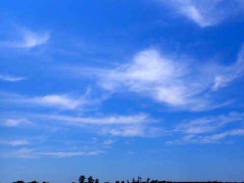 p7hbh56k4wjvsnx679xx_480_480-a5ea89cd.jpg