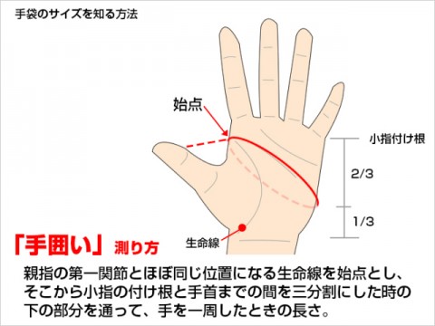 p7ik4brgavkw56u295sw_480_480-b432d485.jpg