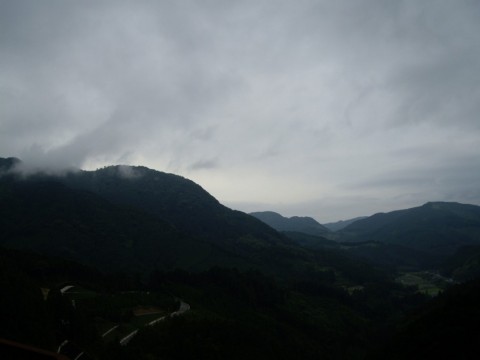 p7pp983d7c63wpwatxvo_480_480-0273a8be.jpg