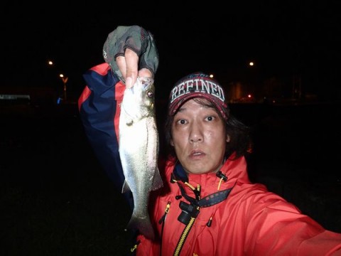 p82a2e5grhxkm7v7th6d_480_480-4ccf9e1f.jpg